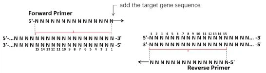1721975626916643066 1721975626916643066