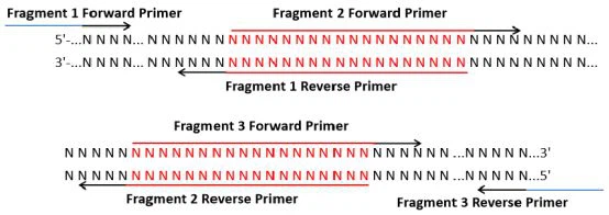 1721975644007448820001 1721975644007448820001