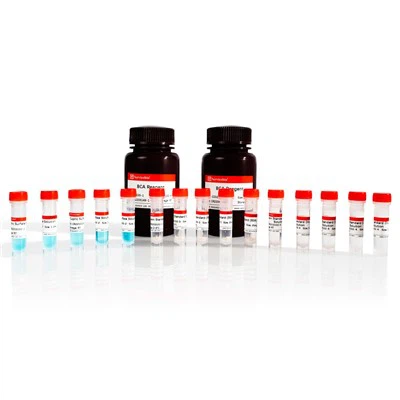 Kit Pengesanan Kuantitatif Protein BCA